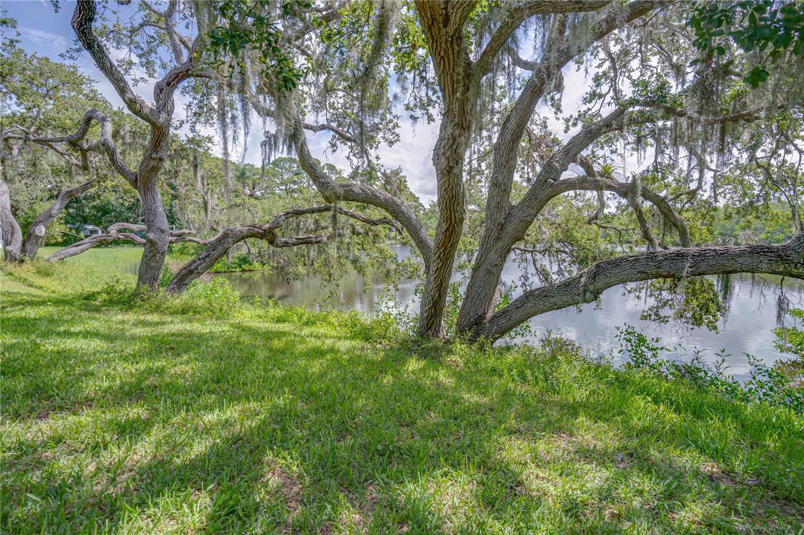 Property Photo: 6625 Burning Tree Drive FL 33777