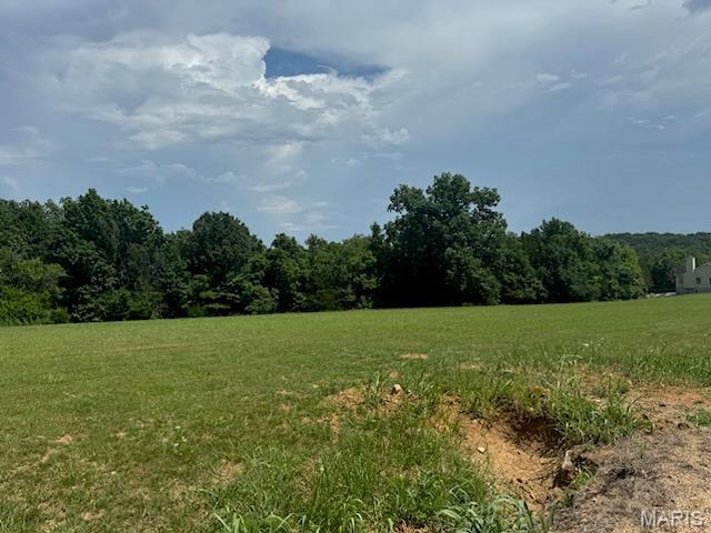Property Photo: Lot 35 Morgan Lake Road MO 63020