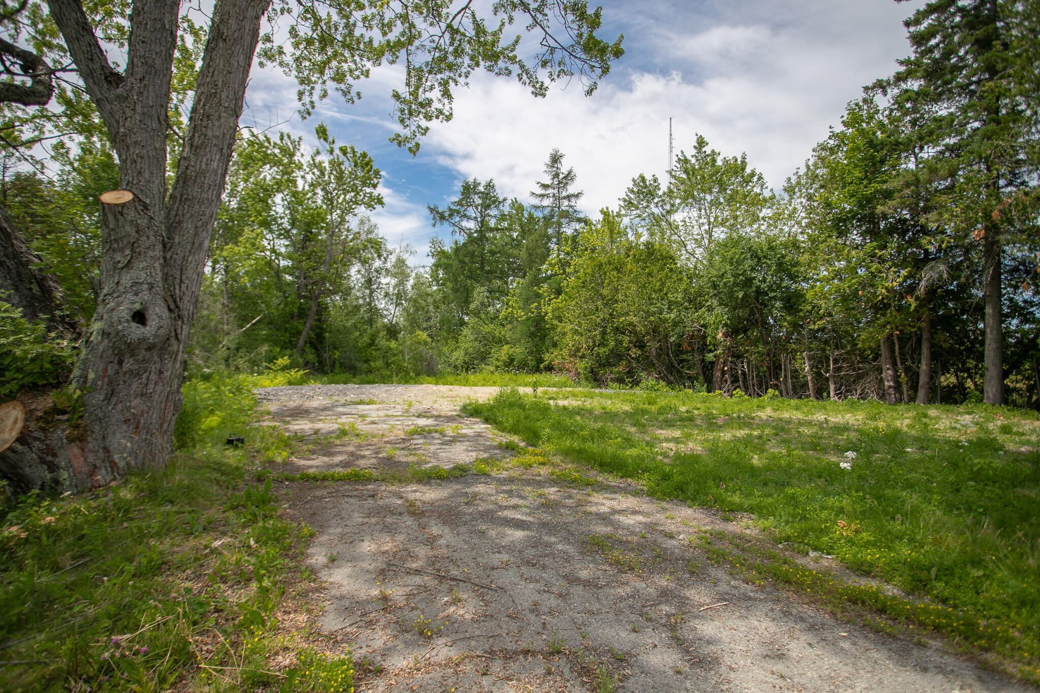 Property Photo:  499 Wilson Street  ME 04412 