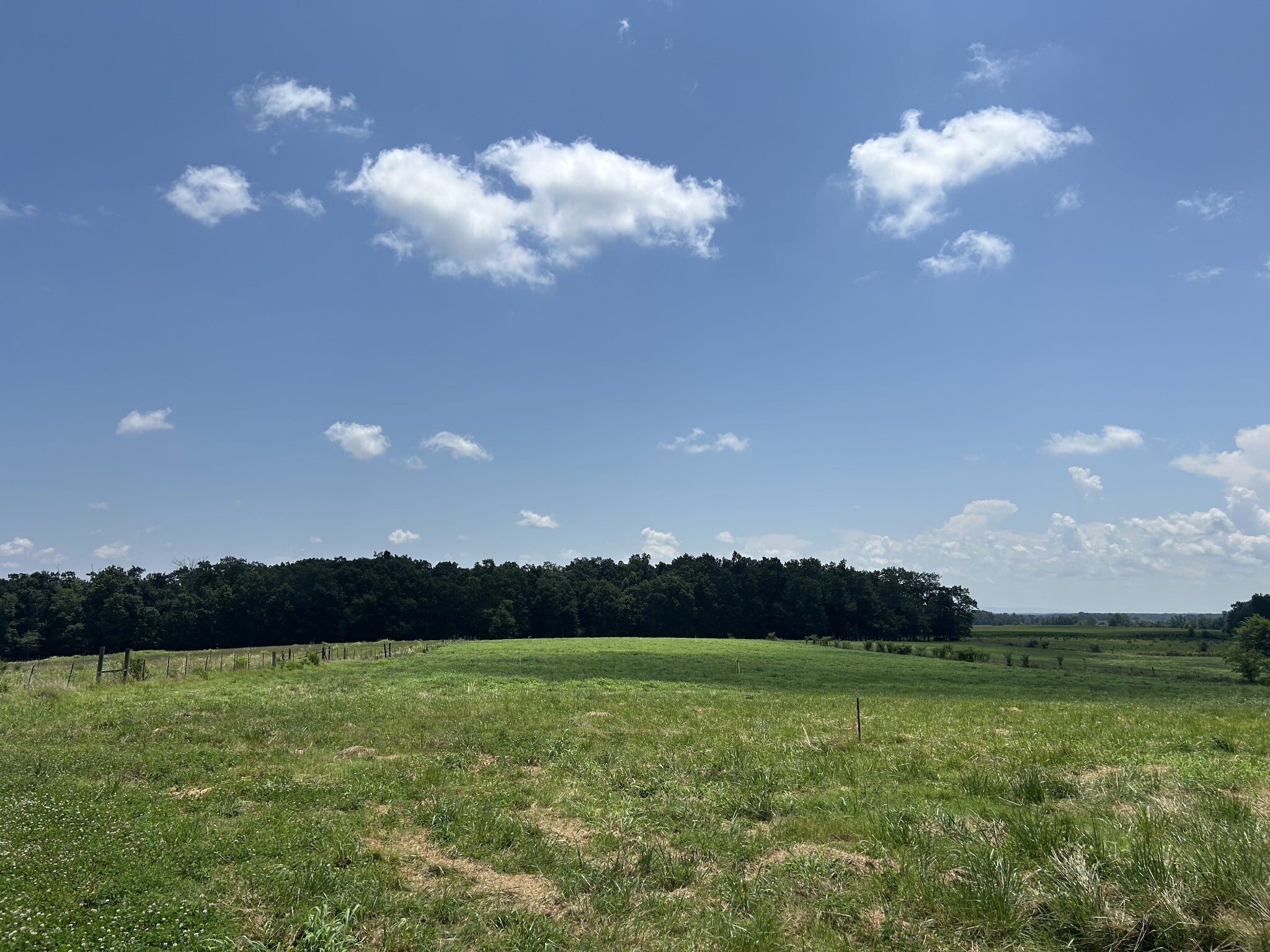 Property Photo:  0 Goosepond Road  TN 37355 