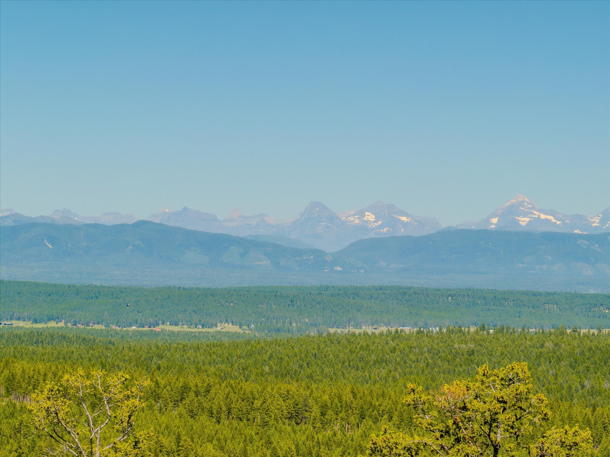 Nhn Mountain Meadow Court  Kalispell MT 59901 photo