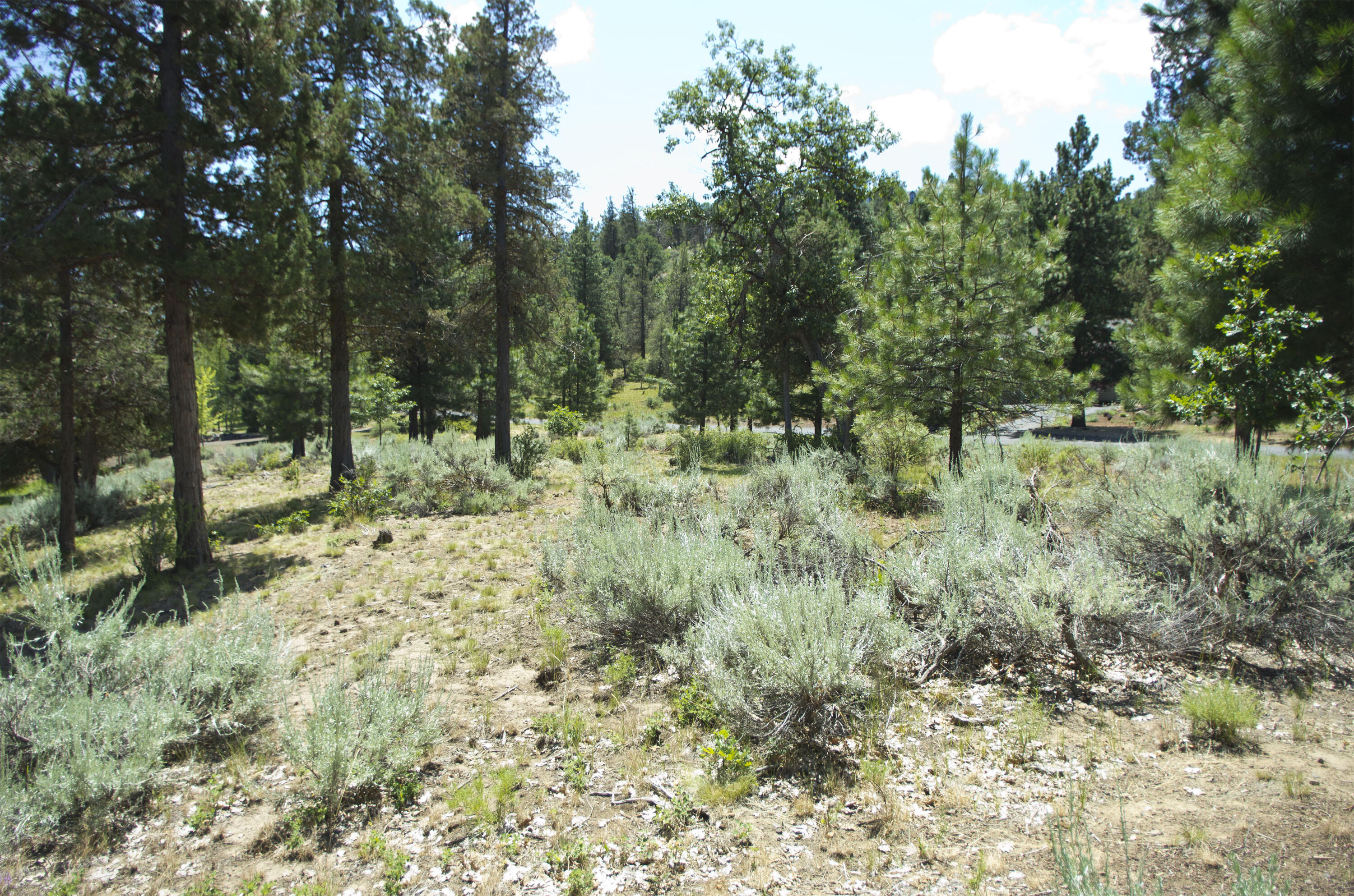 Property Photo: Kestrel Rd Lot 727 OR 97601