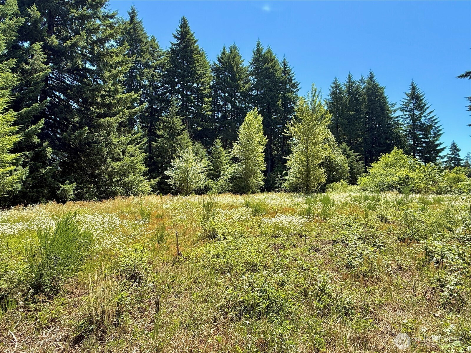 Property Photo: 127 Sawall H WA 98531