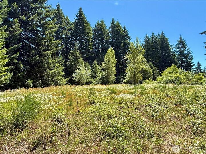 127  Sawall H  Centralia WA 98531 photo