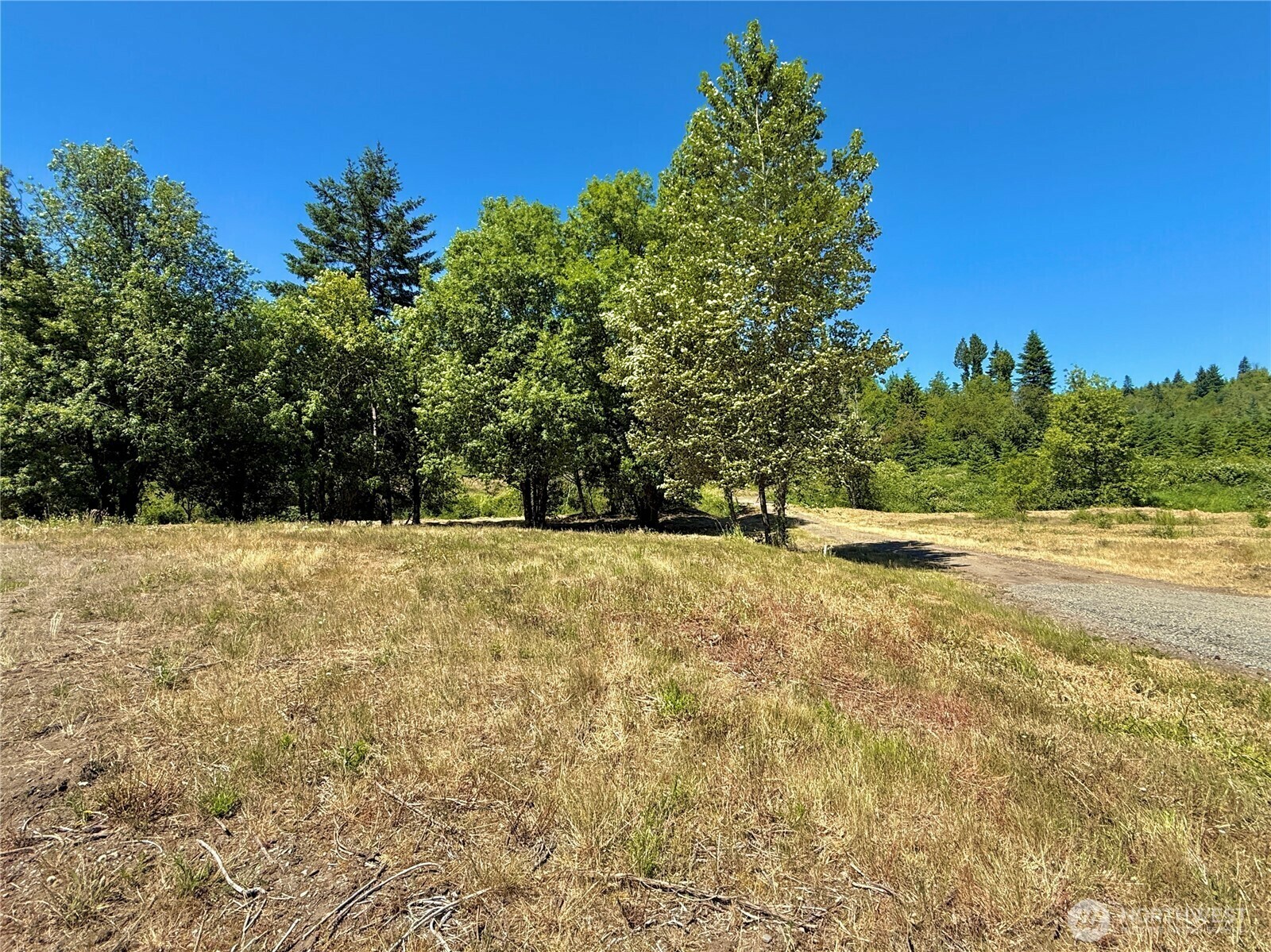Property Photo: 127 Sawall F WA 98531