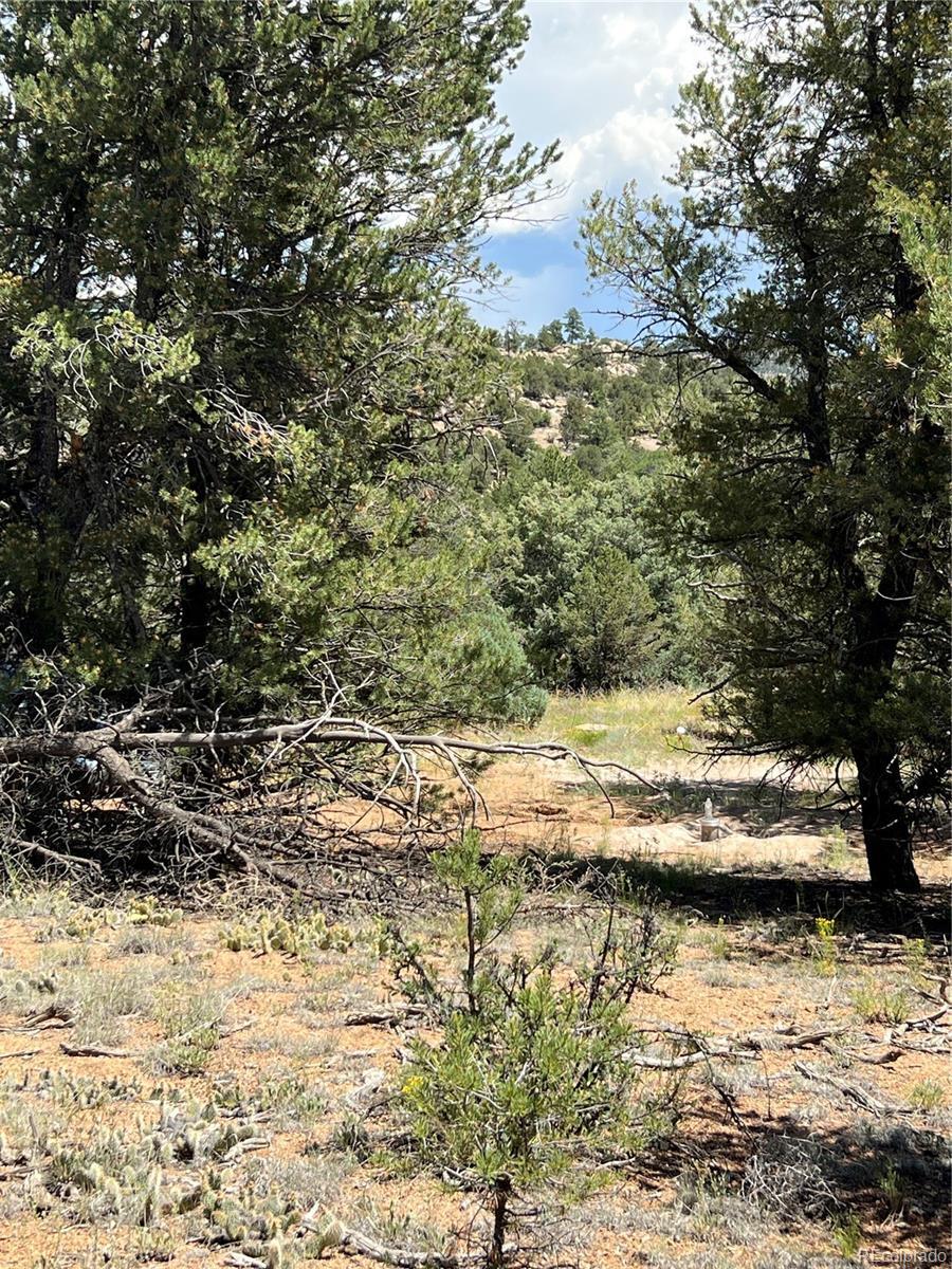 Property Photo: 216 West View Road CO 81223