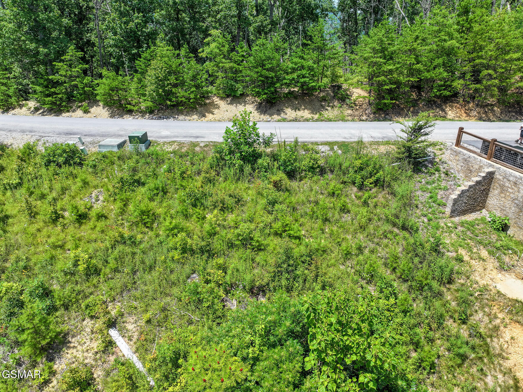 Property Photo: Lot 24 Coopers Hawk Way TN 37862