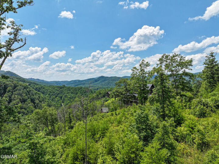 Property Photo:  Lot 24 Coopers Hawk Way  TN 37862 