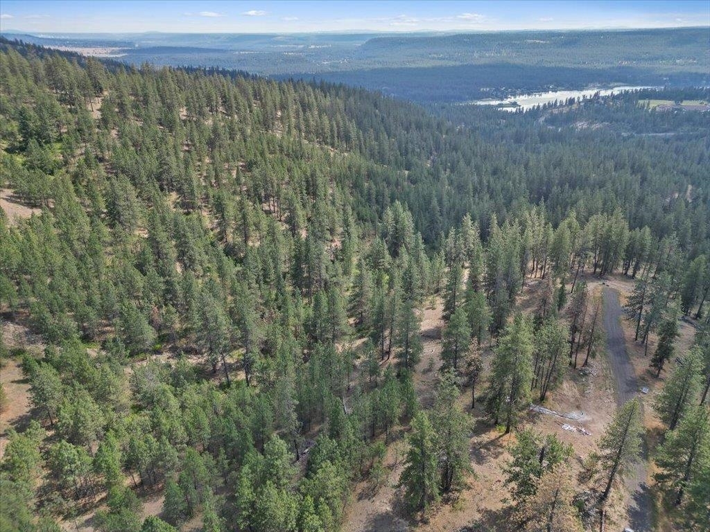 Property Photo: Nka Lower Weaver Way Lot C Of Lot 6 WA 99006