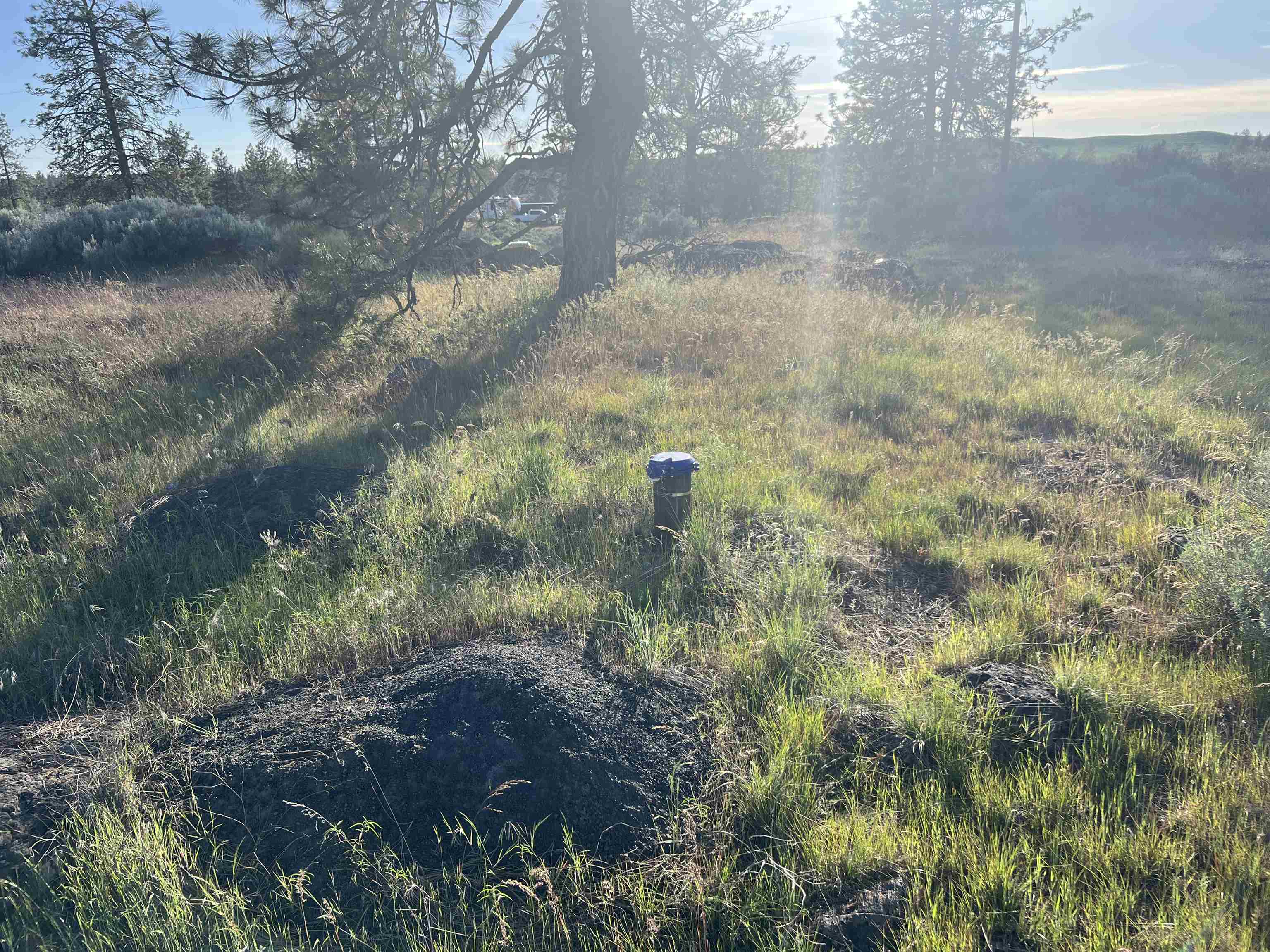 Property Photo: