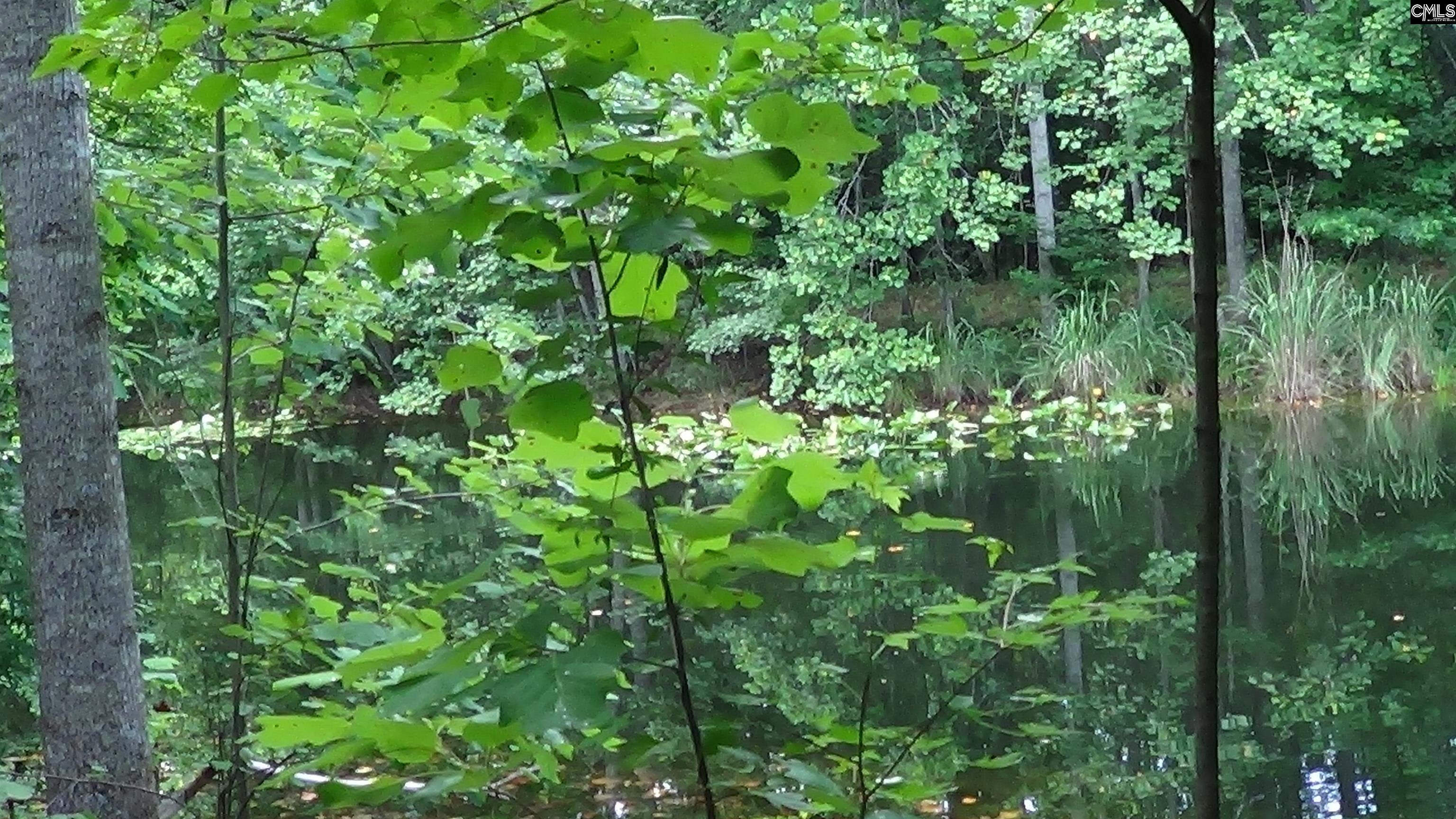 Property Photo: 2815 Highway 1 SC 29045