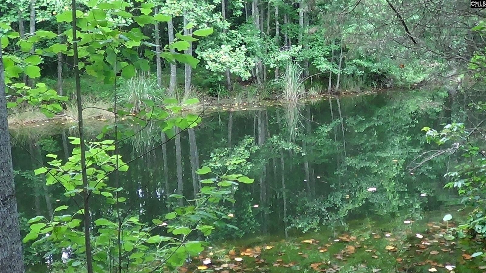 Property Photo: 2815 Highway 1 SC 29045