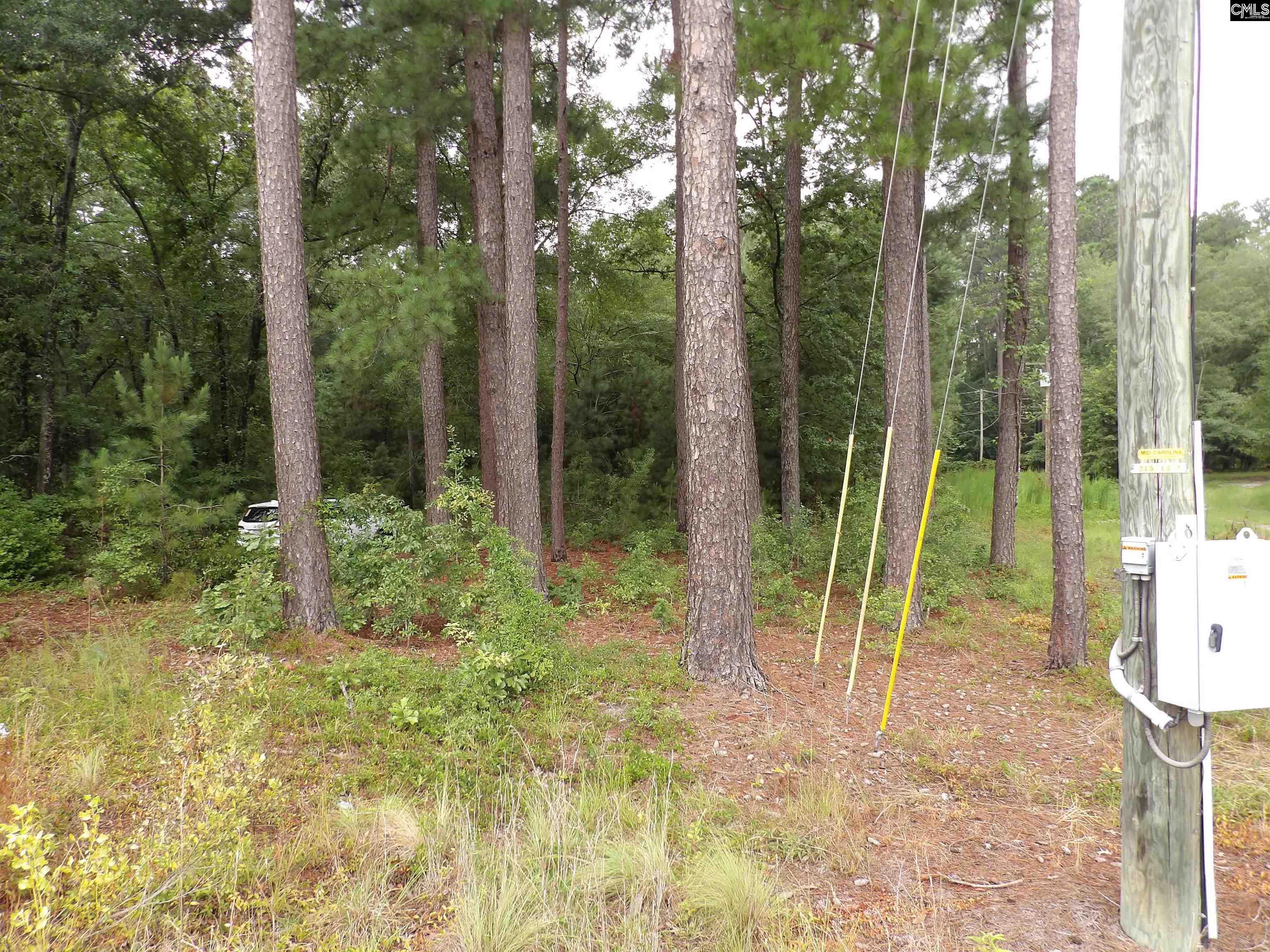 Property Photo: 4610 Platt Springs SC 29170