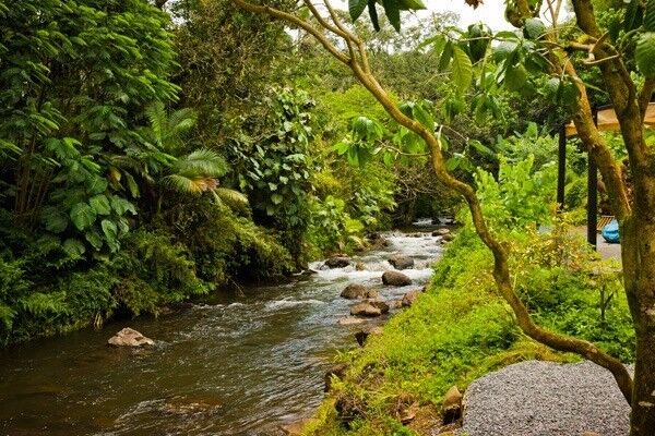 Property Photo:  289 Wainaku St  HI 96720 