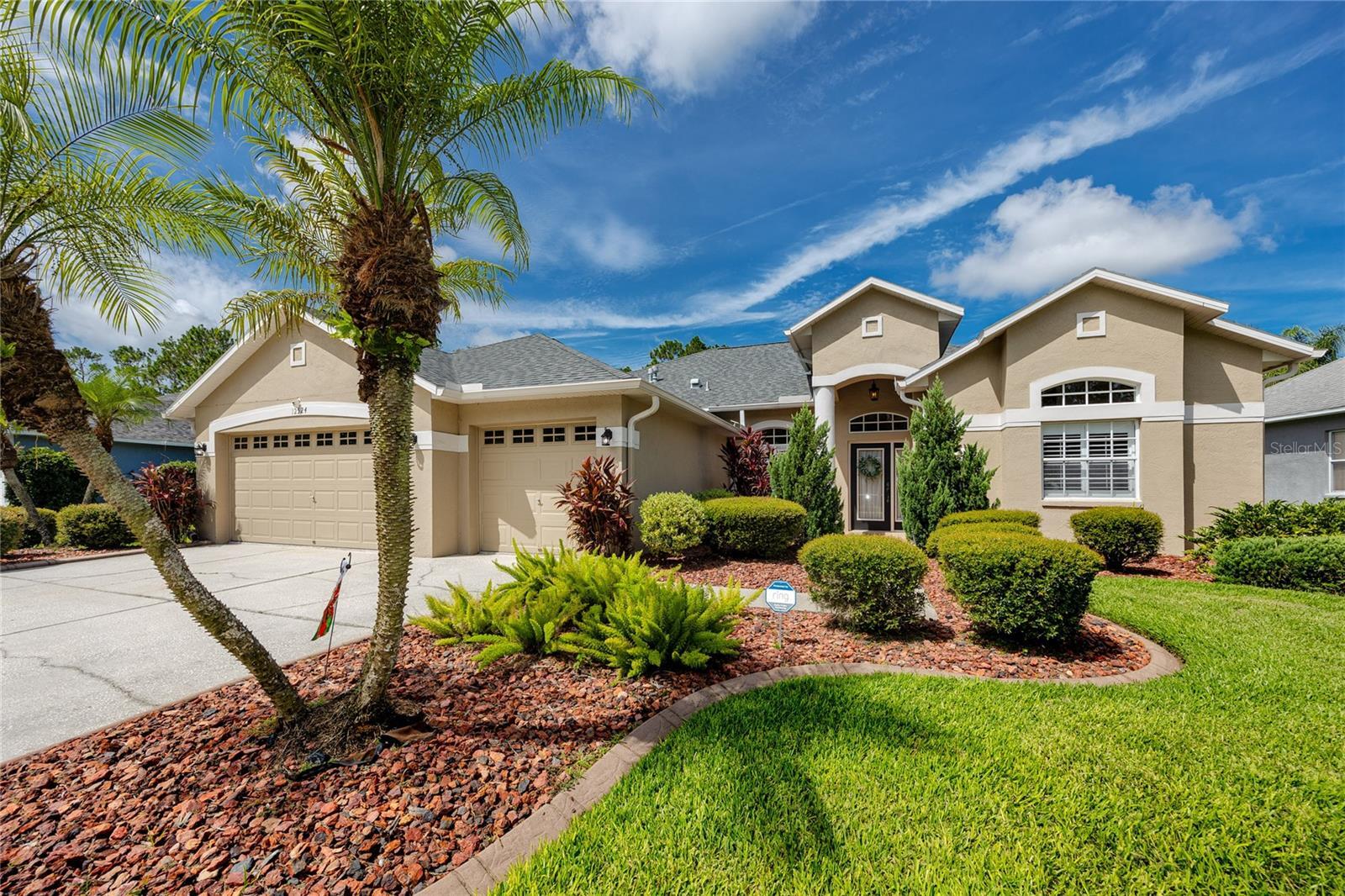 12524 Leatherleaf Drive  Tampa FL 33626 photo
