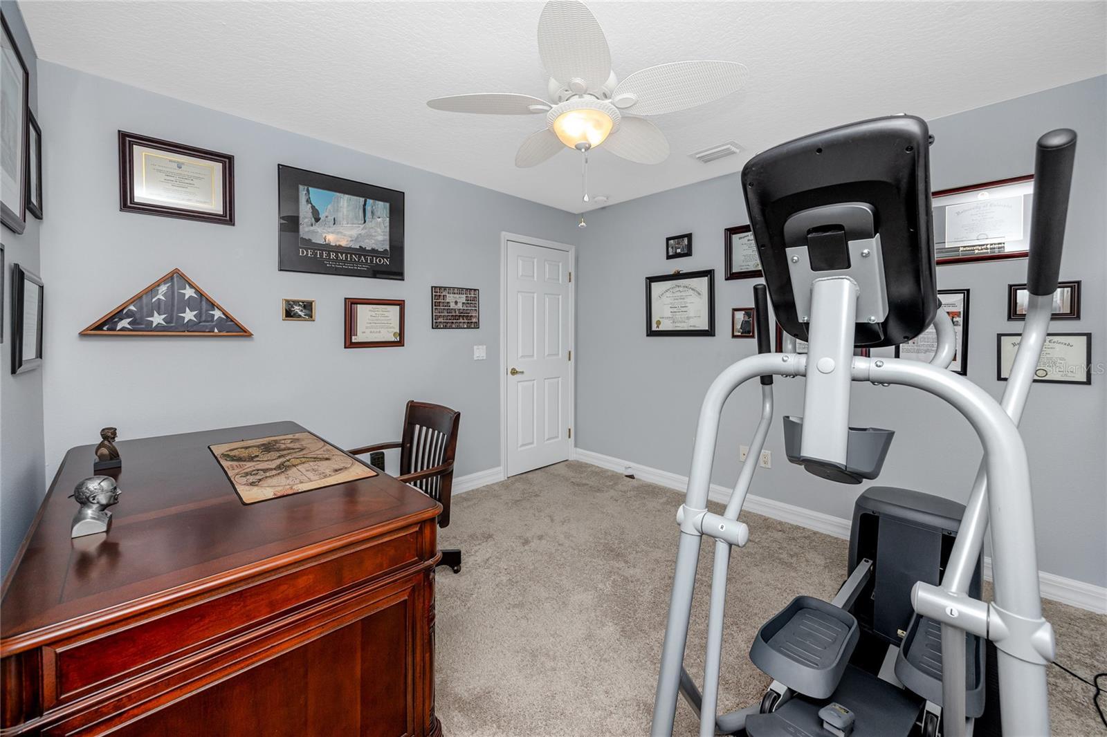 12524 Leatherleaf Drive  Tampa FL 33626 photo
