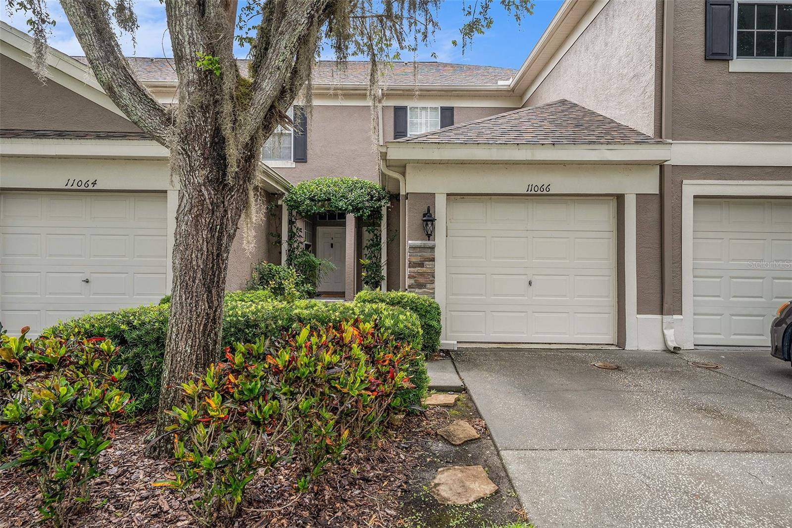 11066 Windsor Place Circle  Tampa FL 33626 photo