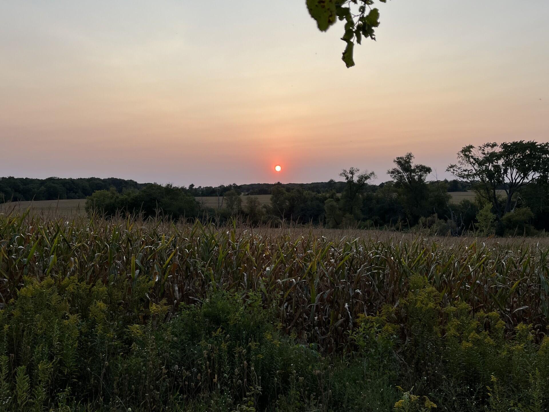 Property Photo: Lt1 Colbo Rd WI 53105