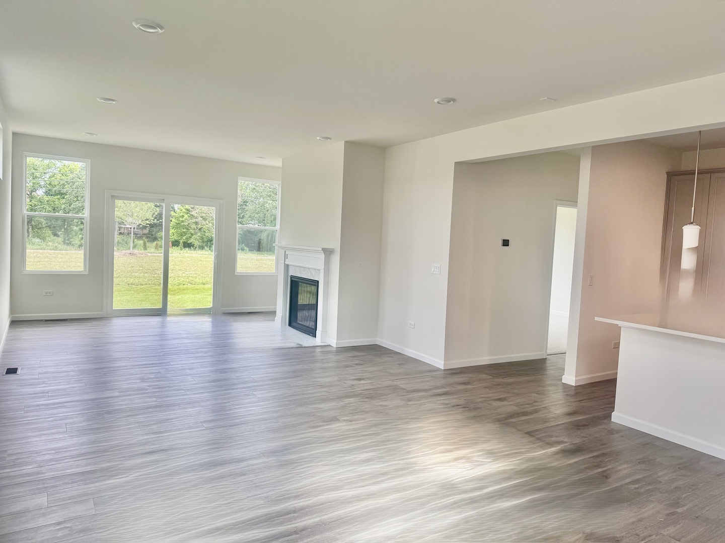 Property Photo: 13412 Belfast Way 13412 IL 60439