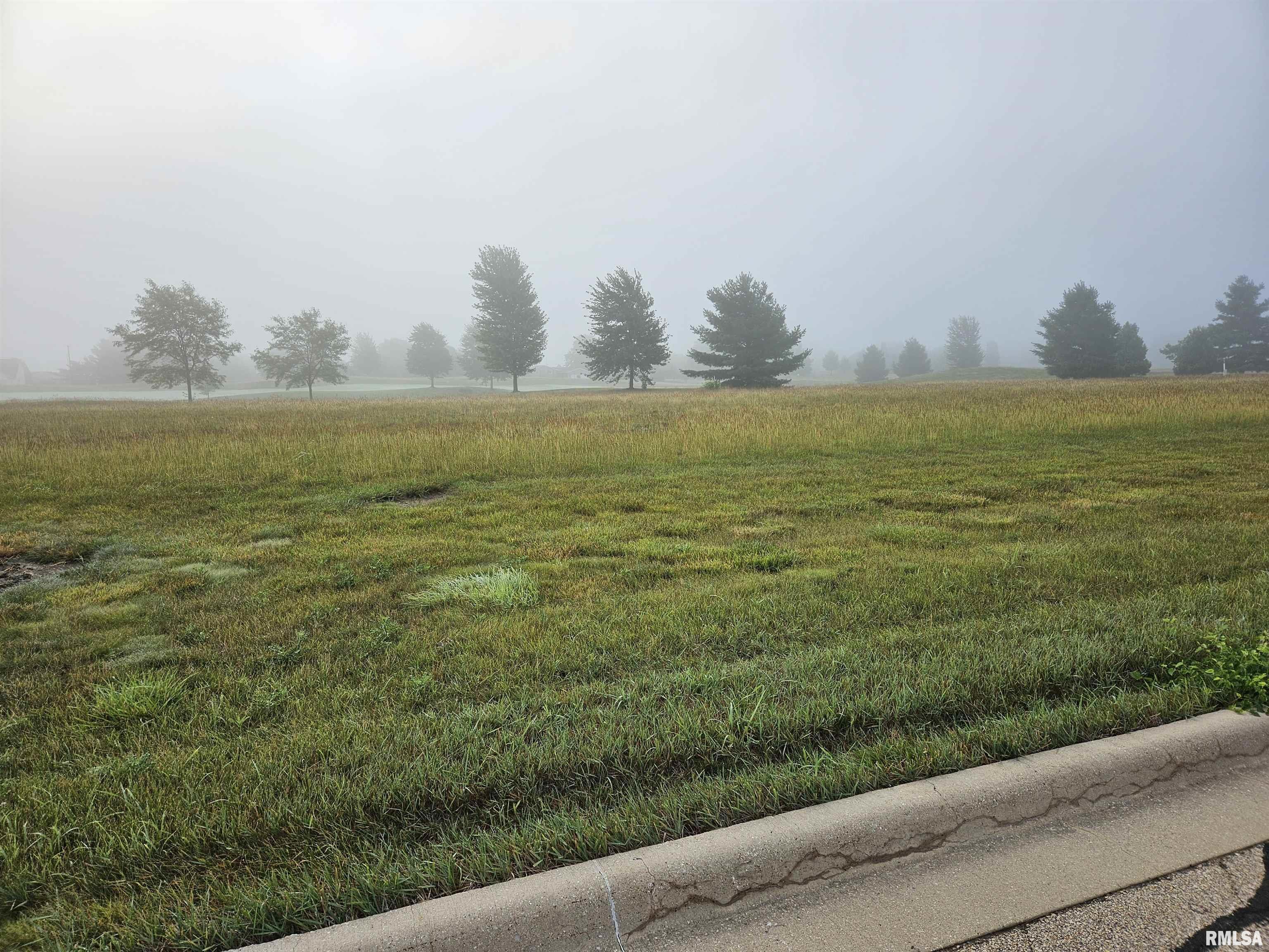 Lot 35 Harmon Lane  Metamora IL 61548 photo