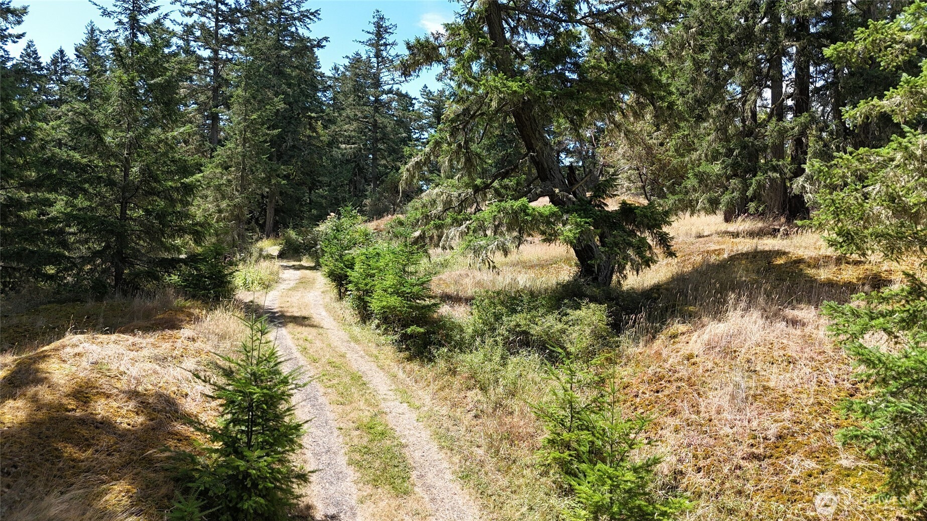 Property Photo: 0 Woodpecker Lane WA 98250