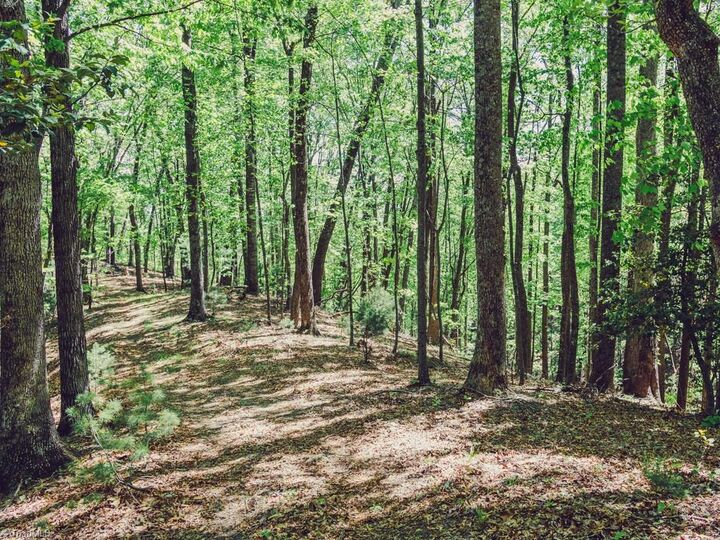 Property Photo: Tbd Hawkins Grove Road NC 28649