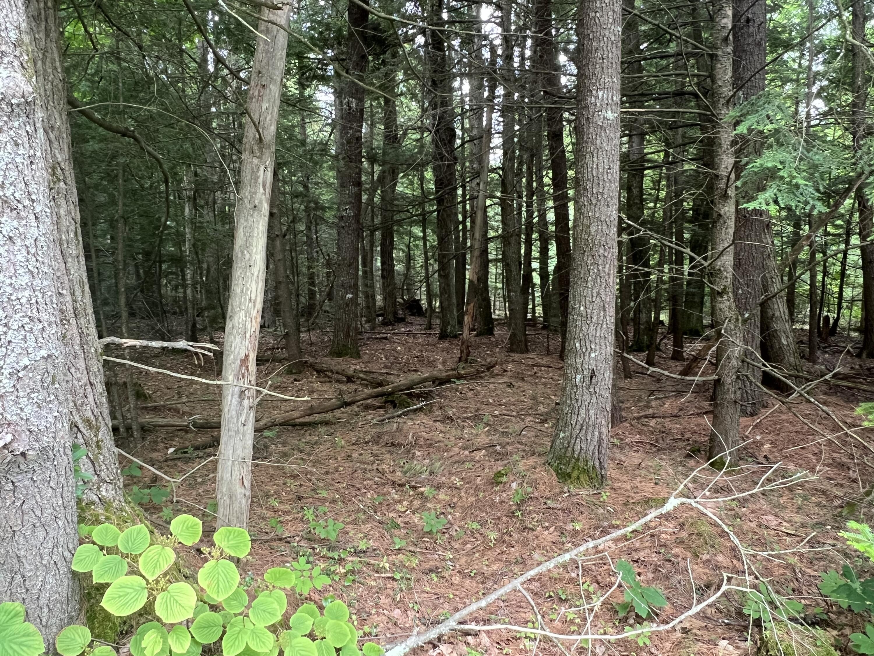 Property Photo: 110/009 Mast Hill Road ME 04072