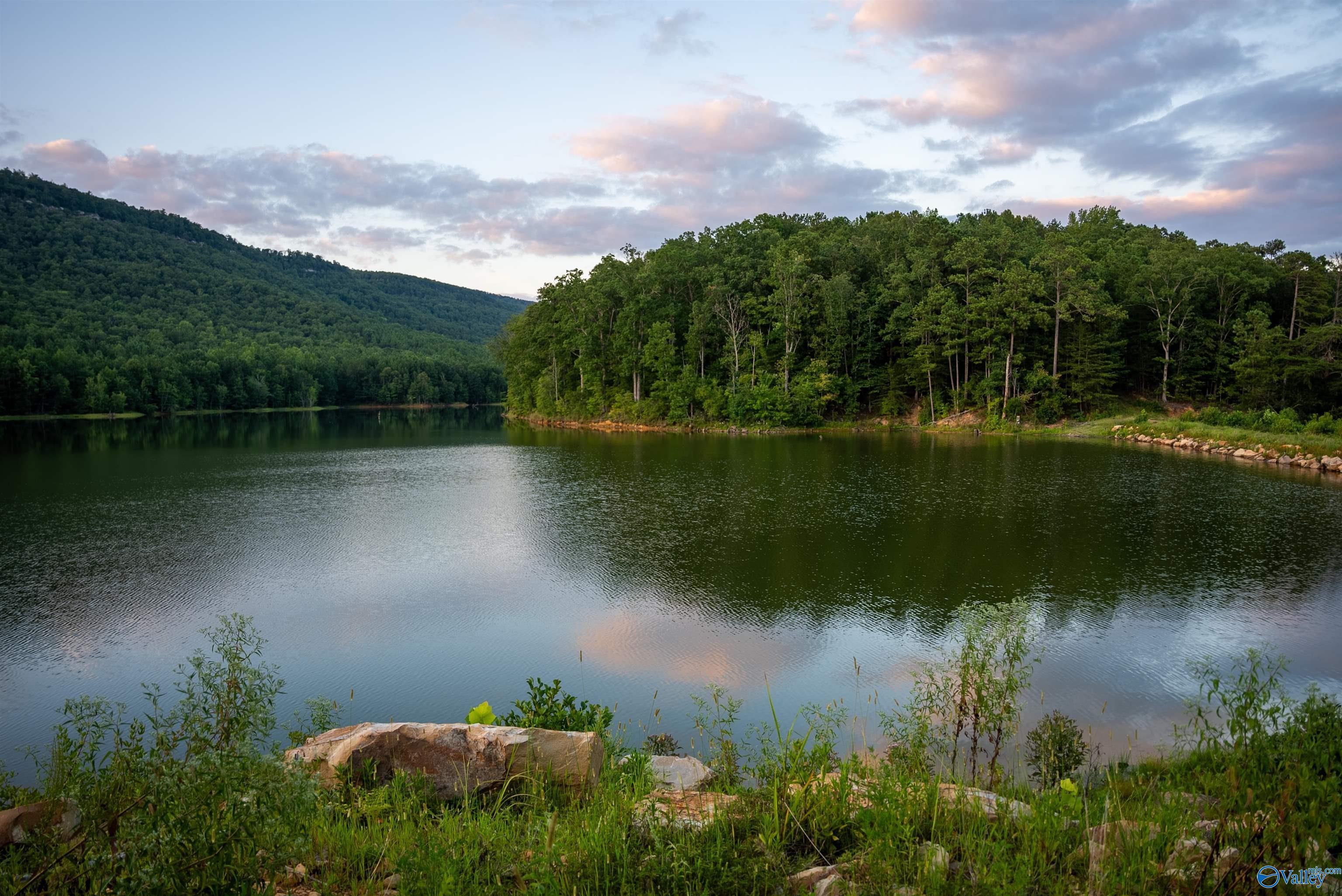 Property Photo: 1,157 Ac County Road 505 AL 35983