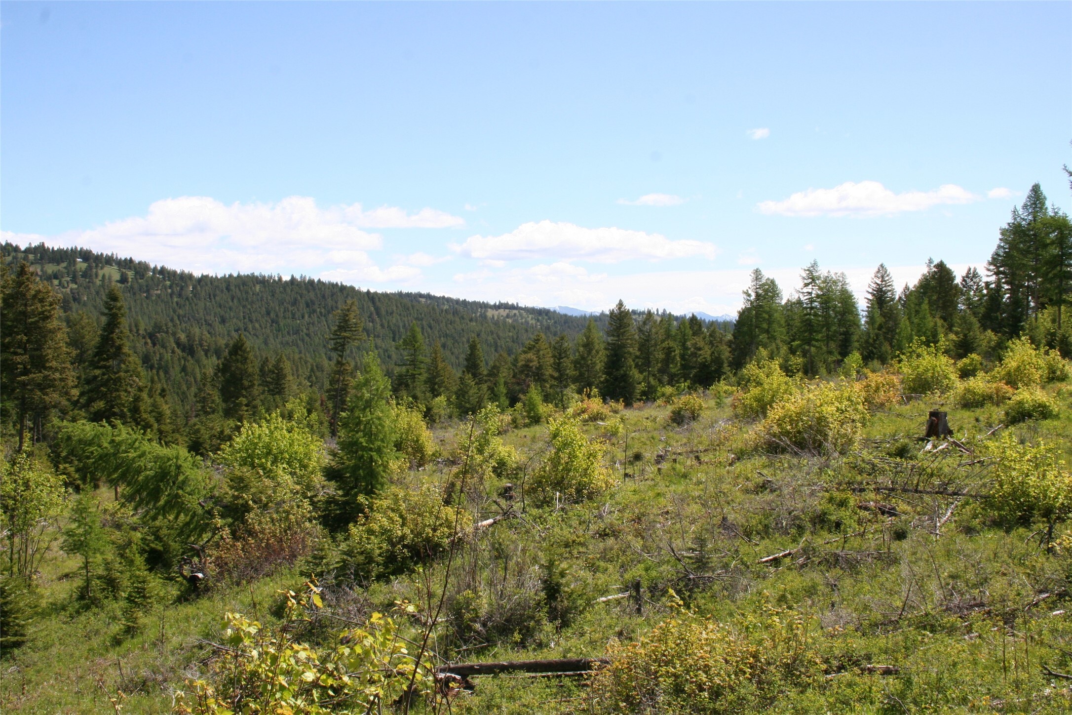 Property Photo: 1450 Kienas Road MT 59901