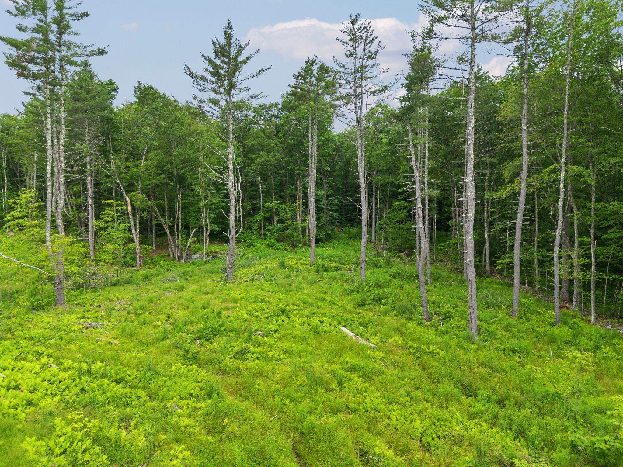 Property Photo: 315 Gove Road NH 03743