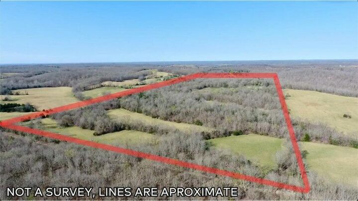 Property Photo: 1380 County Road 219 MO 65791