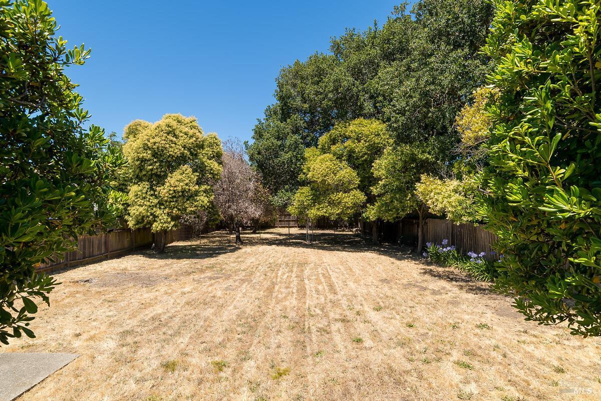 Property Photo:  1216 Vallejo Avenue  CA 94945 