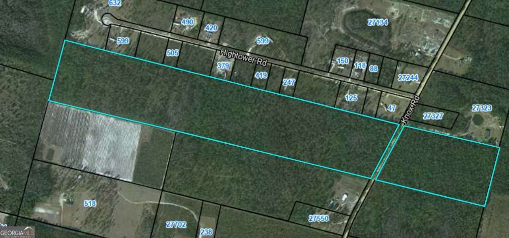 Property Photo: 0 Knox Road GA 31553