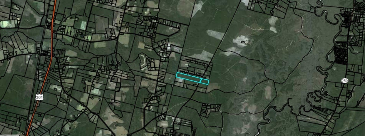 Property Photo: 0 Knox Road GA 31553