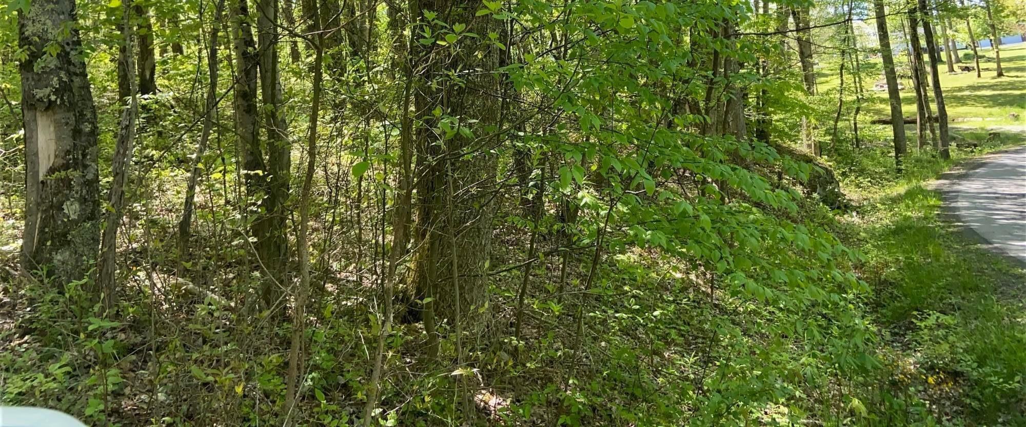 Property Photo: Backus Mountain Road WV 25976
