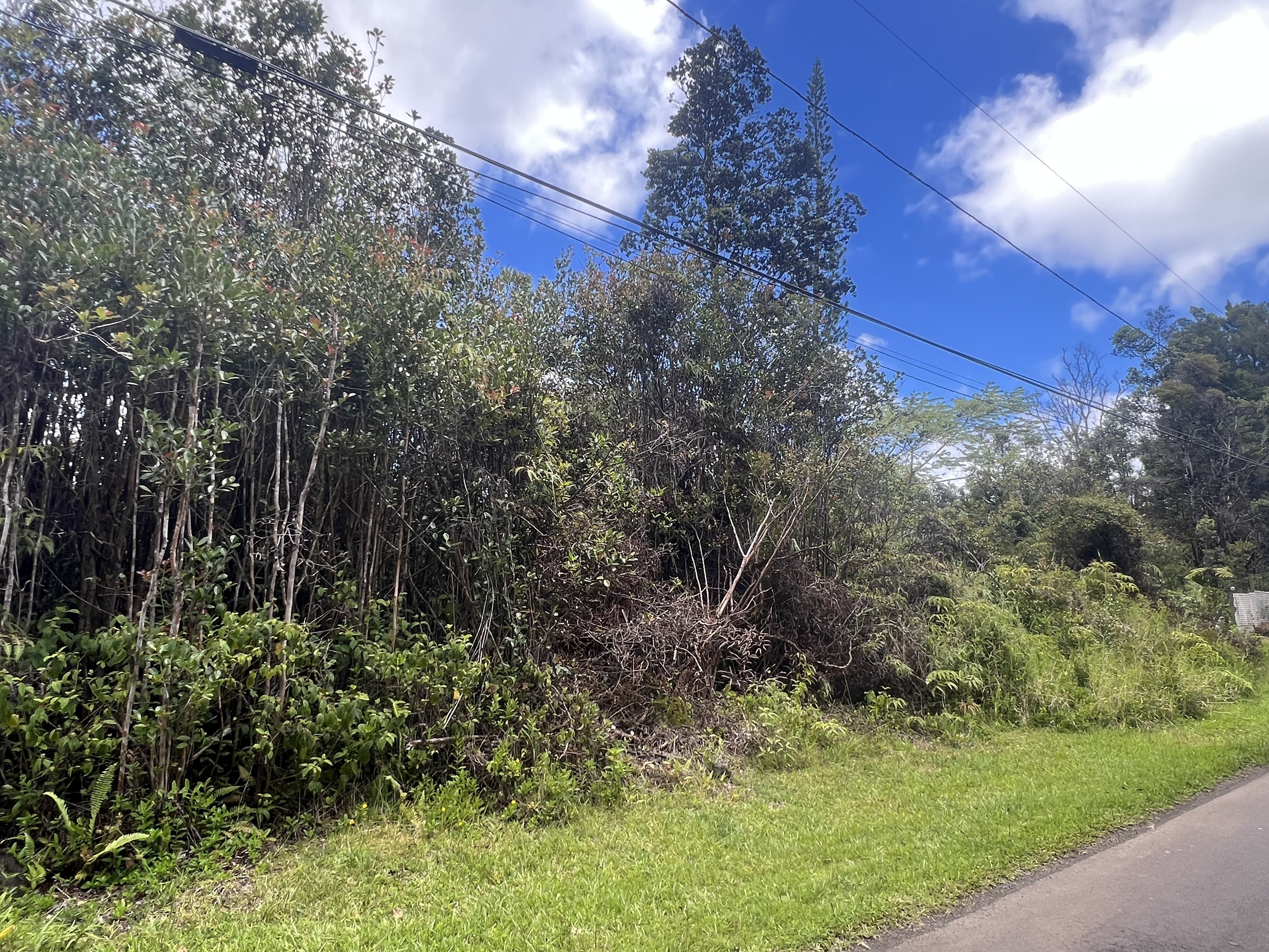 Property Photo: Plumeria St HI 96771
