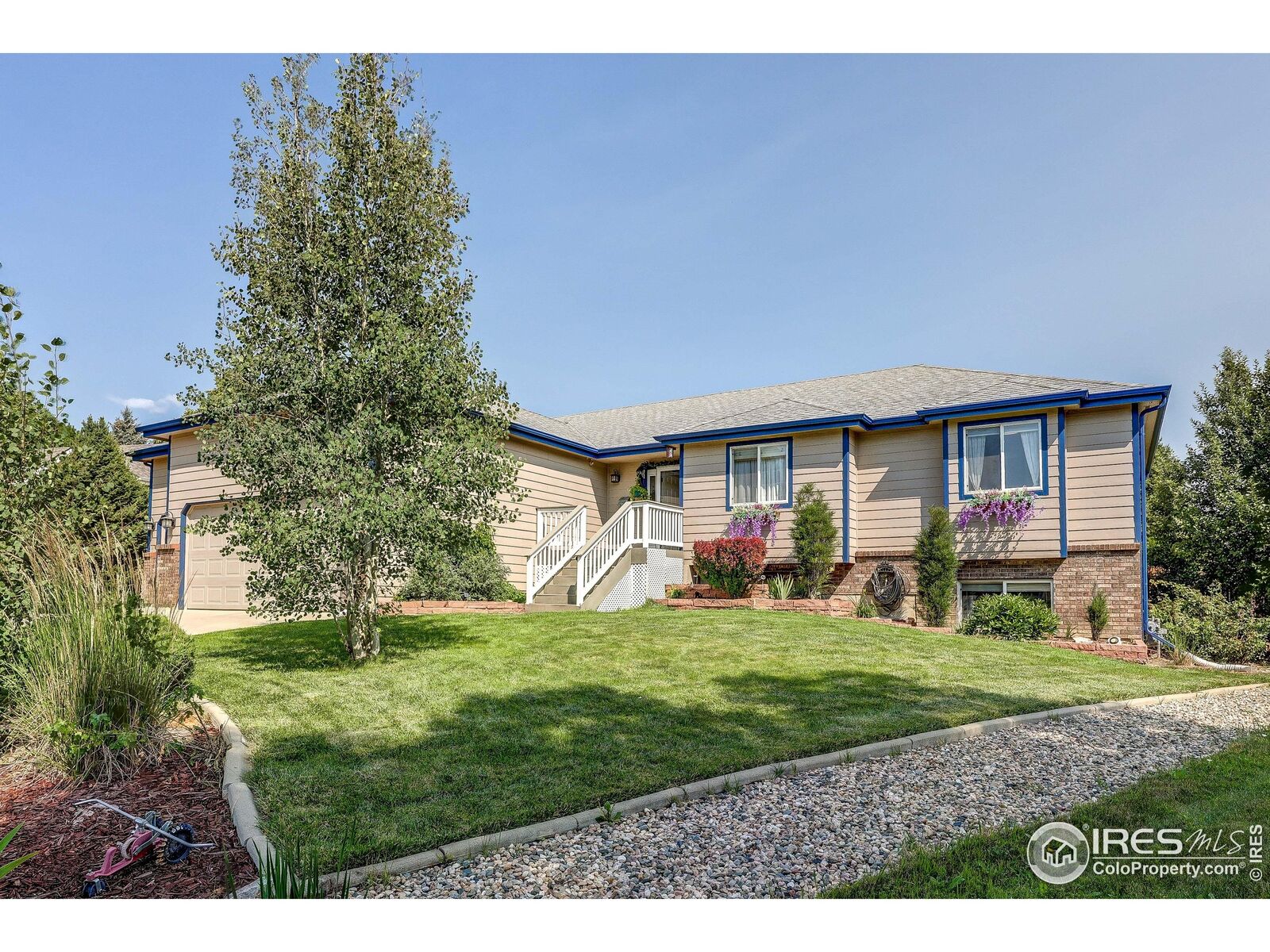 Property Photo: 4241 Fescue Dr CO 80537