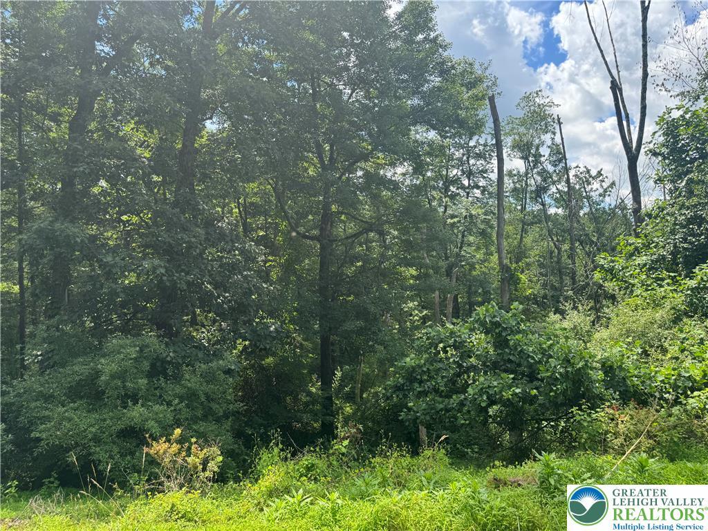 98 Jacoby Run Road  Upper Mt Bethel Twp PA 18343 photo