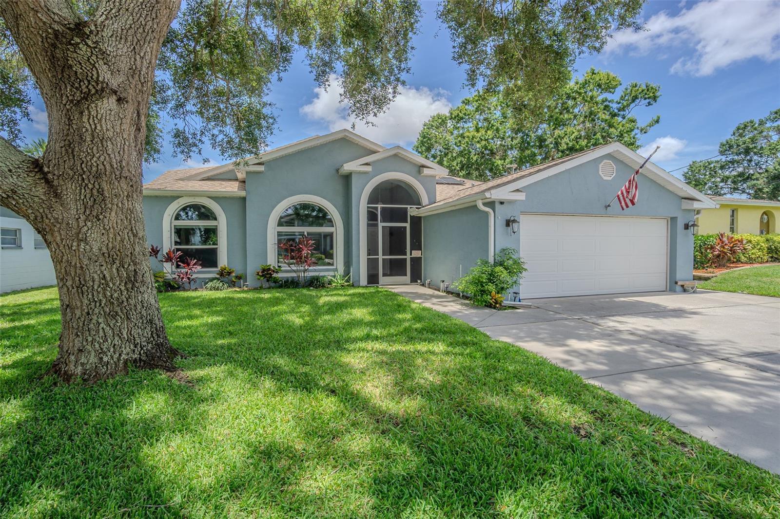 193 E Canal Drive  Palm Harbor FL 34684 photo