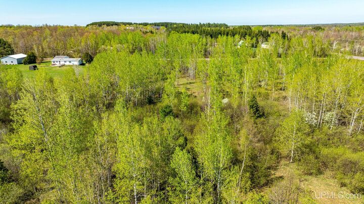Property Photo: Tbd Lake Annie Cross Cut Road MI 49930