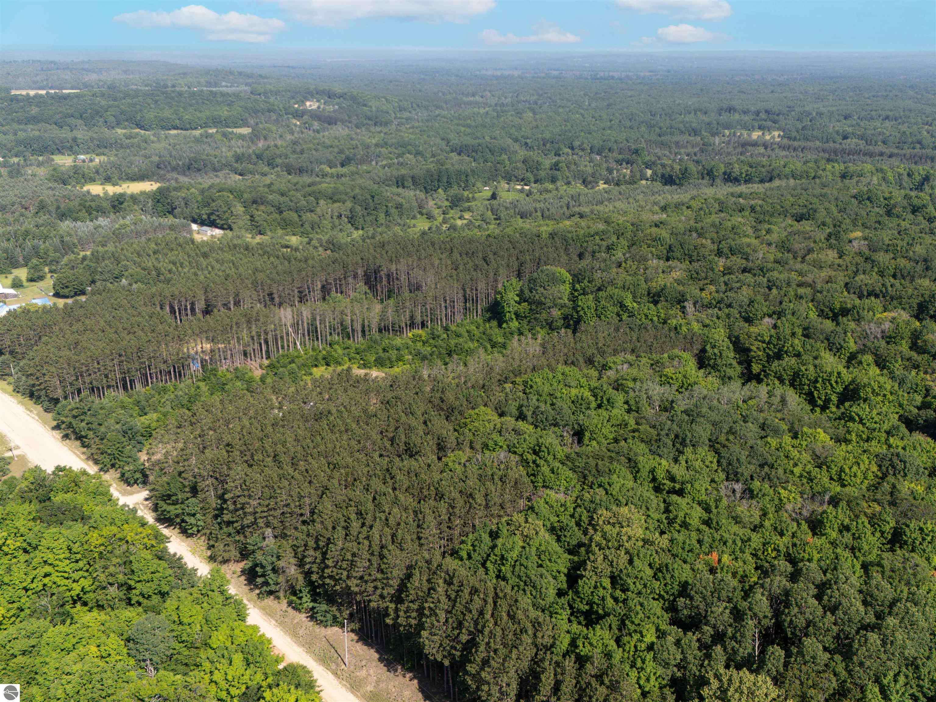 Property Photo: Vl Phelps Road MI 49663