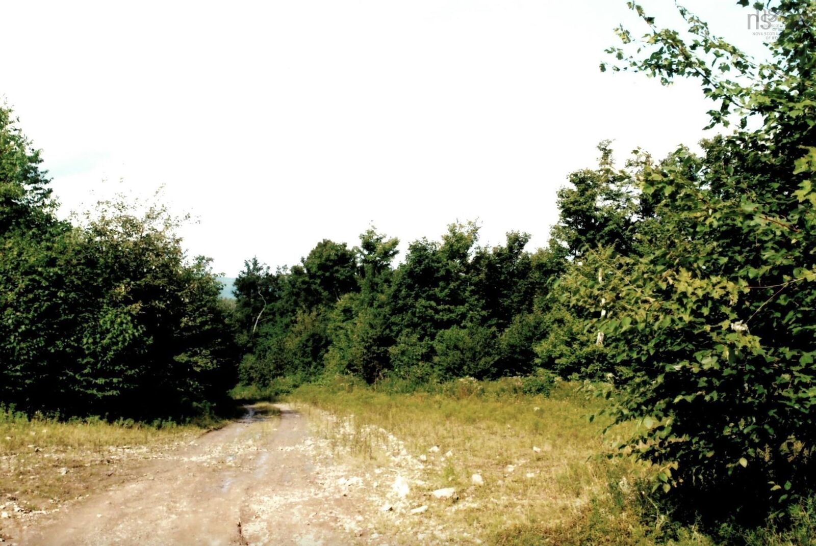 Property Photo:  Lots 2 & 3 Big Brook Road  NS B0E 2Y0 