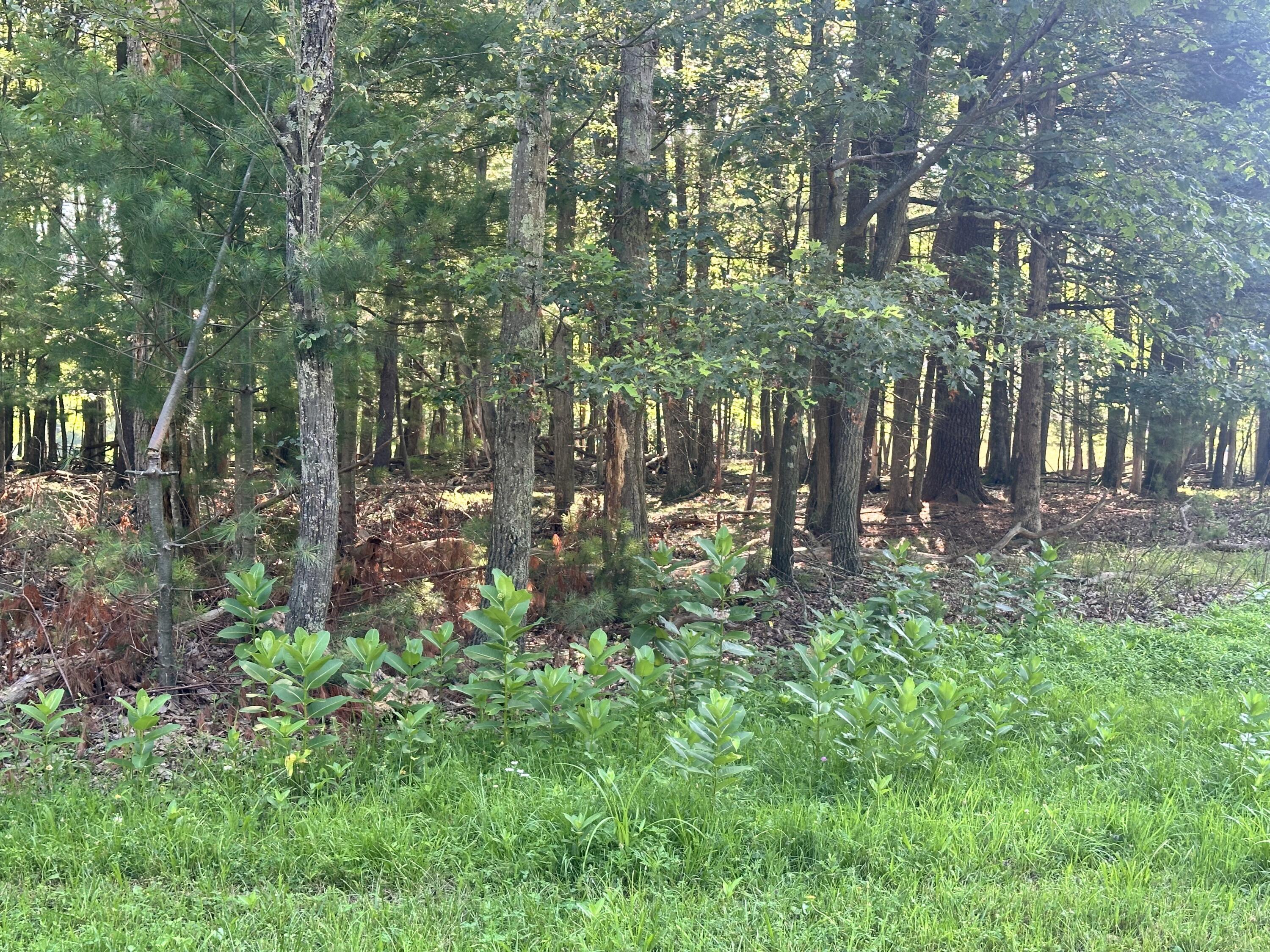 Property Photo: Indian Dr 1 Way PA 18302