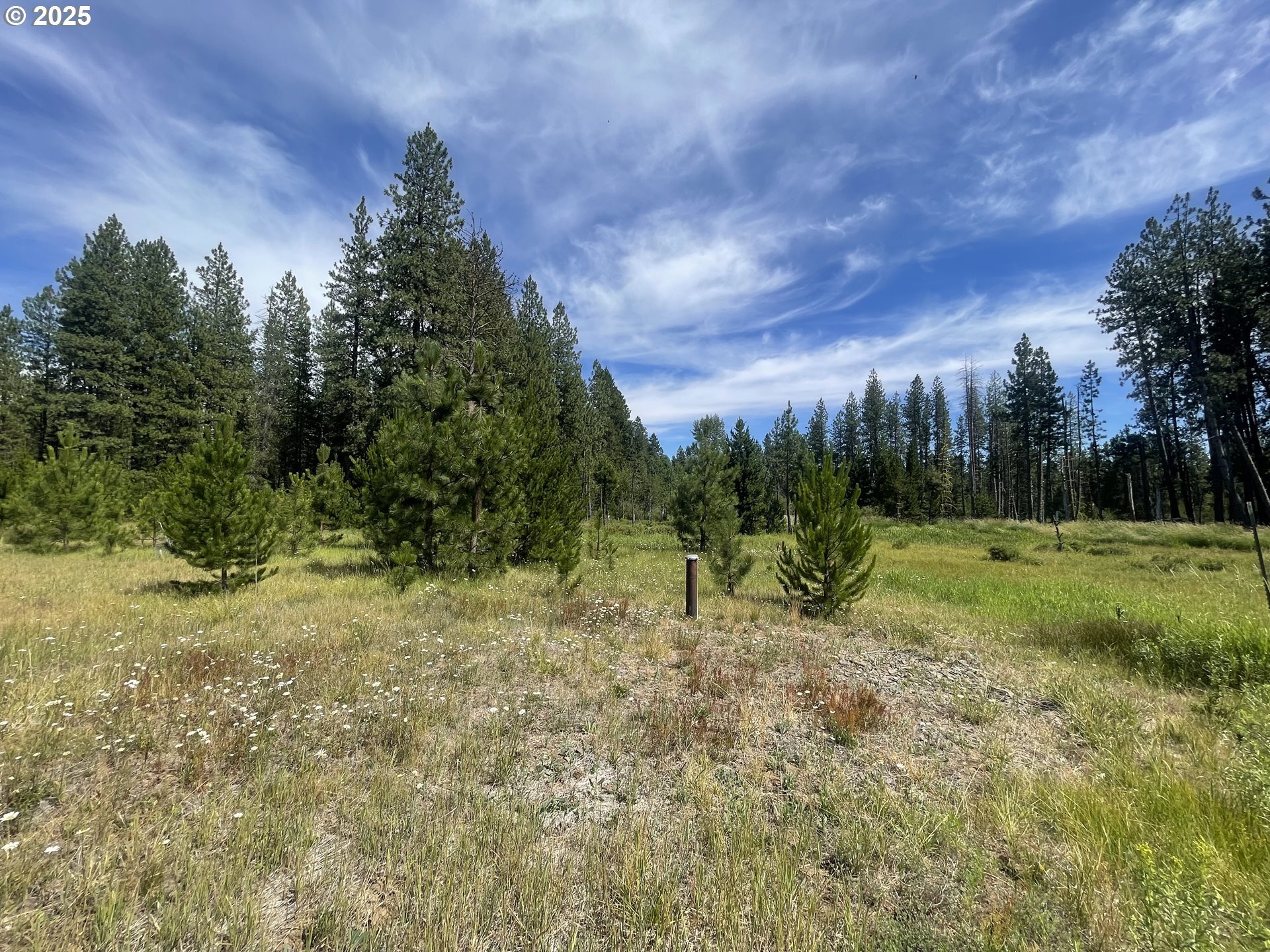 Property Photo: E Adams View Dr 6 WA 98619