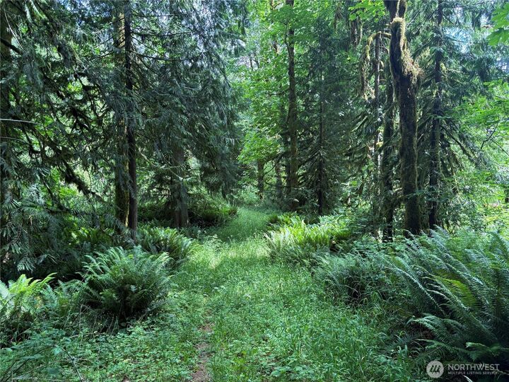 Property Photo:  0  Pigeon Springs Road  WA 98570 