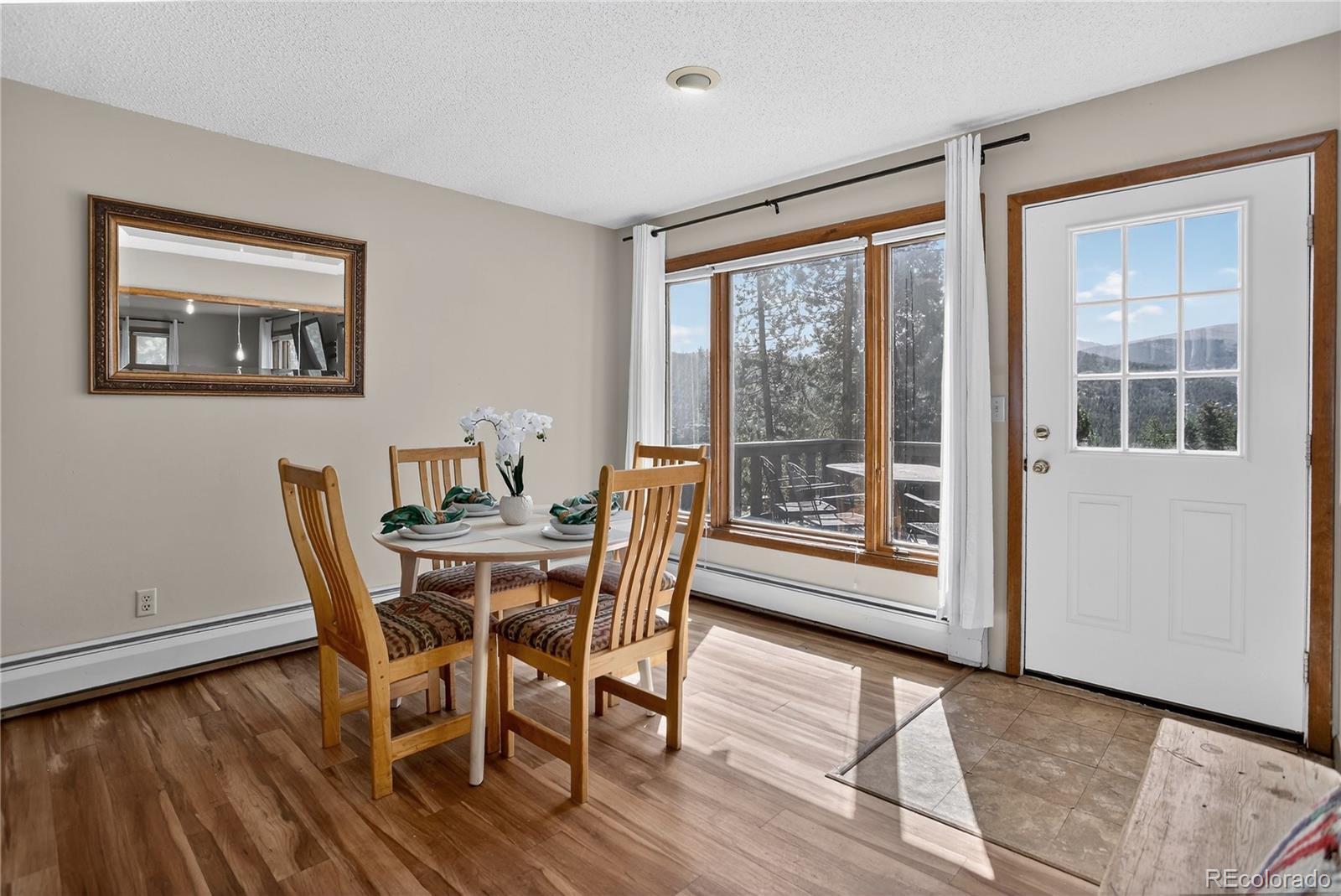 Property Photo: 24 Ski Pole CO 80424