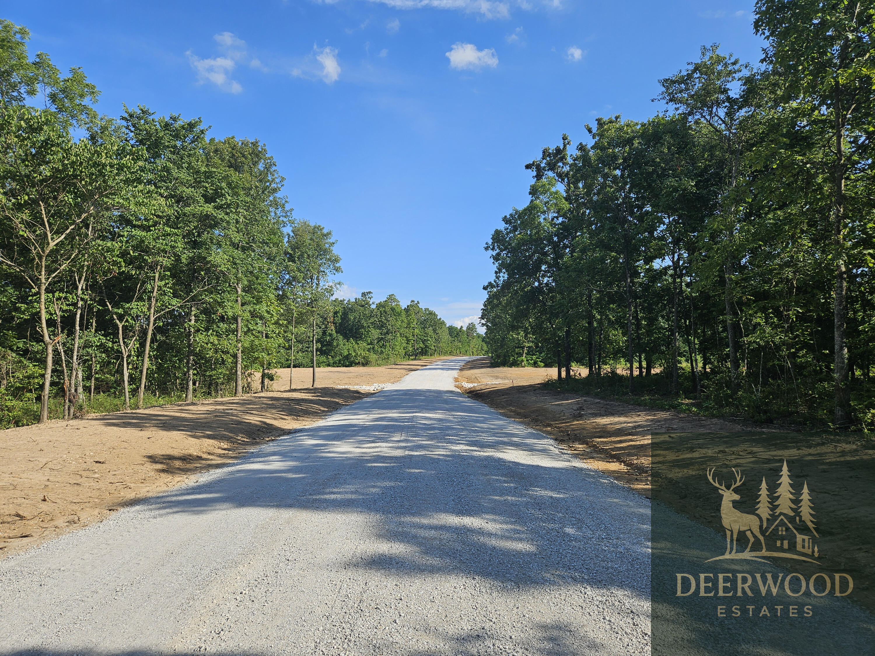 Lot 6 Deerwood Estates  Aurora MO 65605 photo