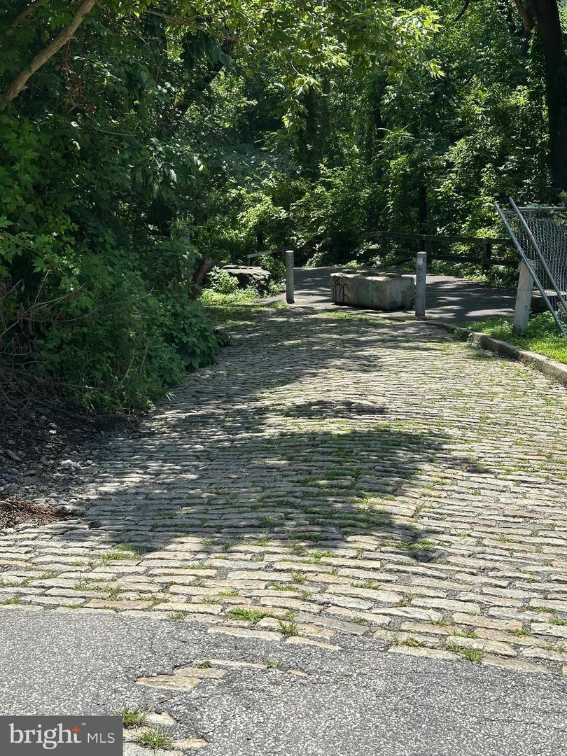 Property Photo: 315 Shawmont Avenue PA 19128