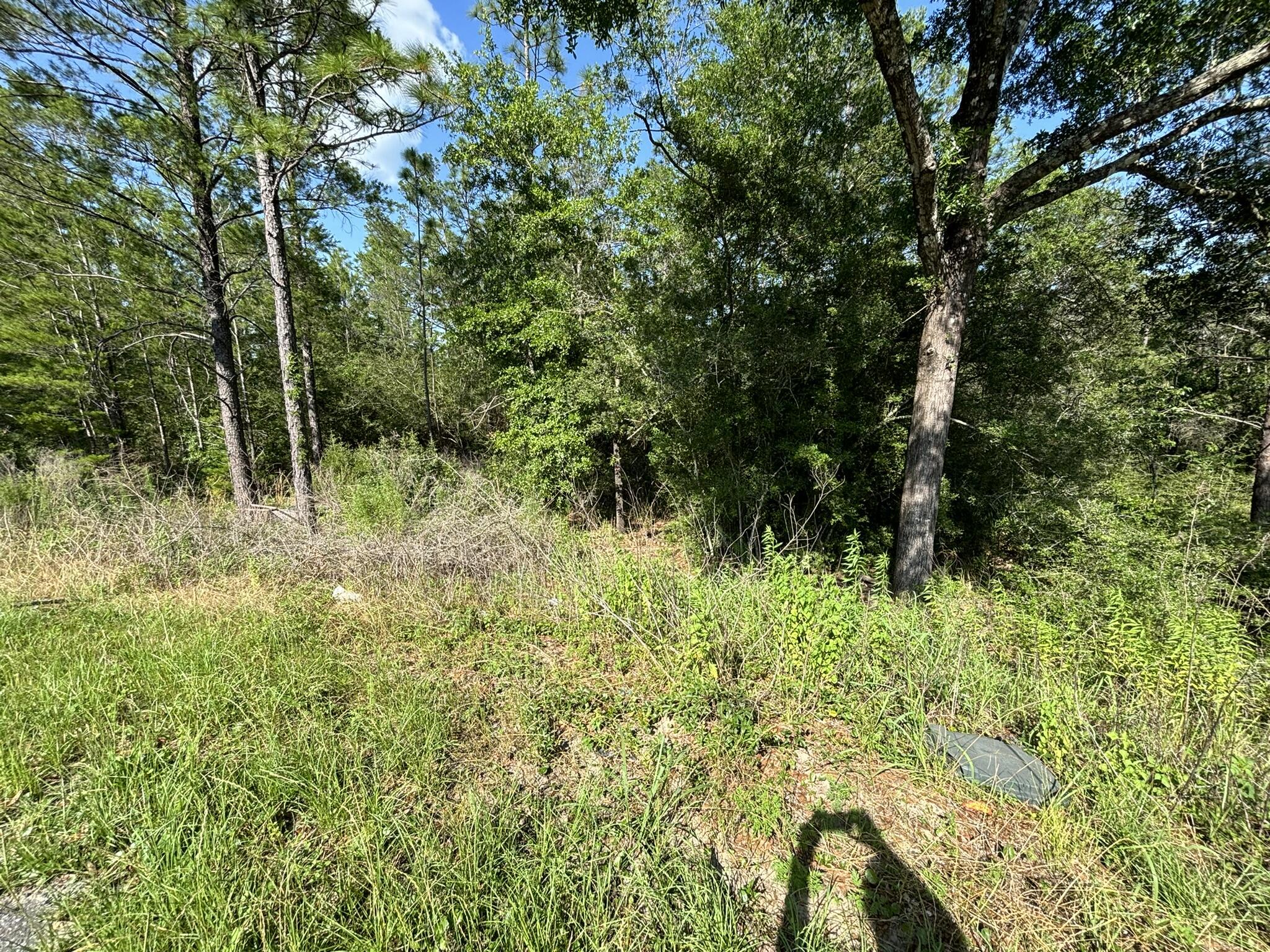 Property Photo: 0 E White Rose Street FL 32433