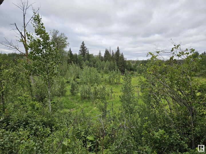 Twp Rd 533 Rr222  Rural Strathcona County AB T8E 2M5 photo